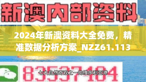 新澳精准资料免费提供网|不仅释义解释落实