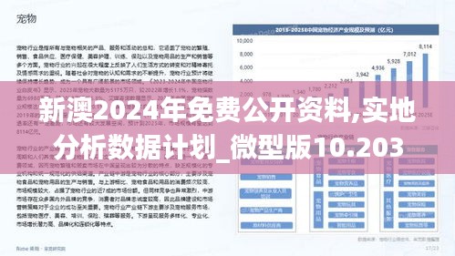 新澳2025年精准特马资料|可行释义解释落实