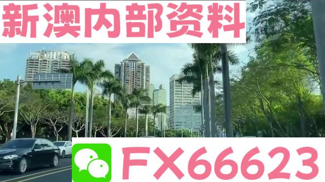 新澳精准资料免费提供403|优选释义解释落实