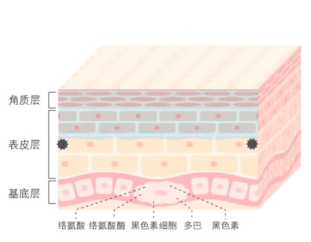 白小姐一码一肖中特1肖|考核释义解释落实