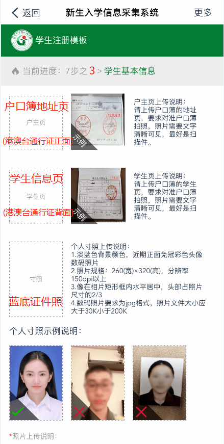 澳门正版资料大全免费噢采资|接应释义解释落实