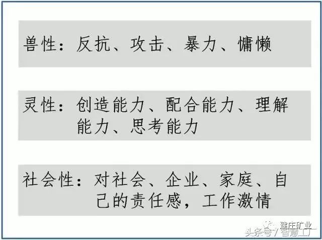 今晚澳门特马开什么今晚四不像|竞争释义解释落实