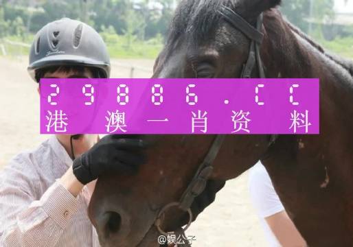 澳门一肖一码一一子|沟通释义解释落实