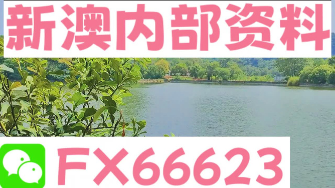 新澳精准资料免费提供403|优选释义解释落实