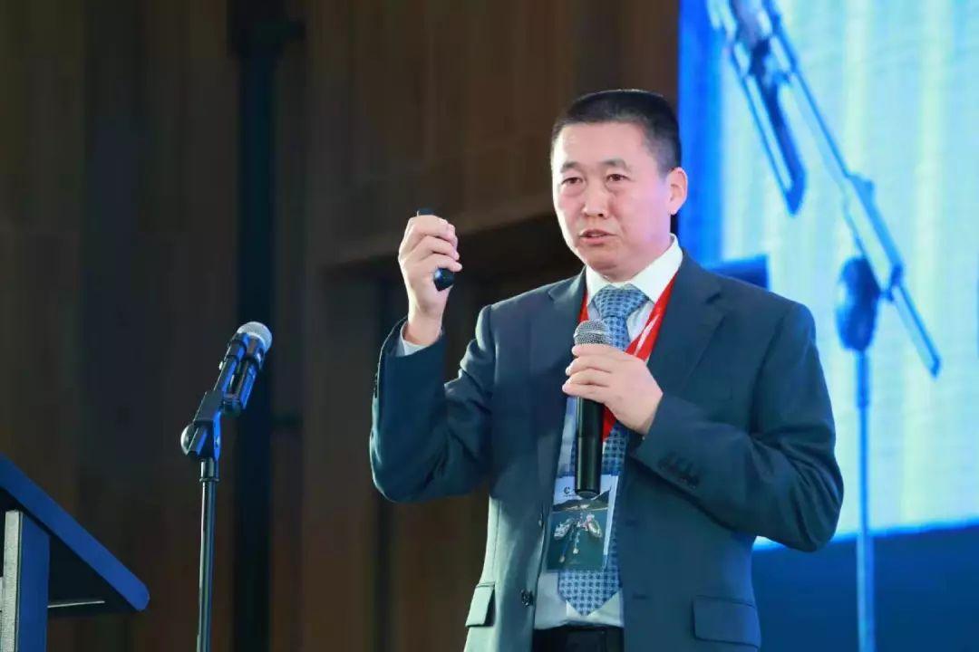 2025新奥资料免费精准175|领略释义解释落实